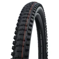 PNEU VTT GRAVITY / VAE 29 X 2.40 SCHWALBE BIG BETTY ADDIX SUPER GRAVITY ENDURO NOIR TLE TUBELESS READY TS (62-622) HOMOLOGUE VAE e50