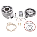HAUT MOTEUR 50 A BOITE ADAPTABLE MINARELLI 50 AM6/MBK 50 X-POWER, X-LIMIT/YAMAHA 50 TZR, DTR/PEUGEOT 50 XPS/RIEJU 50 RS1/BETA 50 RR/APRILIA 50 RS 1995>2005 -P2R