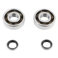 BEARING FOR CRANKSHAFT+SEALS FOR MOPED P2R FOR MBK 51, 41, 40, 88, CLUB ( KIT TPI 6302 QR POLYAMID)