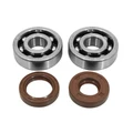 BEARING FOR CRANKSHAFT+SEALS FOR 50CC MOTORBIKE ARTEK FOR MINARELLI 50 AM6/MBK 50 X-POWER/YAMAHA 50 TZR/PEUGEOT 50 XPS, XR6/RIEJU 50 RS1/BETA 50 RR (BEARING KIT 6303 TPI POLYAMID C4 + VITON SEALS)