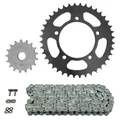 CHAIN AND SPROCKET KIT FOR BETA 125 RS 2006>2012  520  17x40  (Ø SPROCKET 100/120/10.5)  (OEM SPECIFICATIONS)  -AFAM-