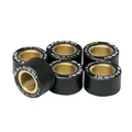 VARIATOR ROLLER FOR MAXISCOOTER MALOSSI 20x12 14,5g (x6)  FOR  YAMAHA 125 XMAX, MAJESTY/MBK 125 SKYCRUISER, SKYLINER