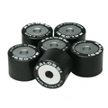 VARIATOR ROLLER FOR MAXISCOOTER  MALOSSI 23x18  20,0g (x6)  FOR  HONDA 300 SH/KYMCO 250 GRAND DINK