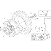 Roue Posterieure - F.D.