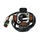 STATOR ALLUMAGE 50 A BOITE ADAPTABLE BETA 50 RR 2005>2012 (OEM 28.97810.000)  -P2R-