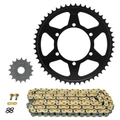 CHAIN AND SPROCKET KIT FOR TRIUMPH 660 TRIDENT 2021> 520 16x51 (REAR SPROCKET Ø 106/125/10.5). (OEM SPECIFICATIONS). -AFAM