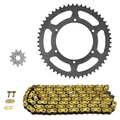 KIT CHAINE ADAPTABLE DERBI 50 SENDA DRD SM XTREME 2011>2017 420 11x53 (DIAM COURONNE 108/123/6.5) (DEMULTIPLICATION ORIGINE) -AFAM