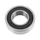 ROULEMENT BLACKBEARING B3 21.2x38.5-.5mm (21238595-2rs)