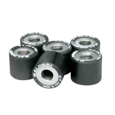 VARIATOR ROLLER FOR MAXISCOOTER MALOSSI 25x22,2 20,0g (x6) FOR PIAGGIO 500 X9 EVOLUTION FOR VARIATOR MULTIVAR