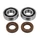 BEARING FOR CRANKSHAFT+SEALS FOR 50CC MOTORBIKE ARTEK FOR DERBI 50 SENDA, GPR/GILERA 50 SMT, RCR ( EURO 2 + EURO 3 ENGINE)  (BEARING KIT 6204 TPI POLYAMID C4 +  VITON SEALS)