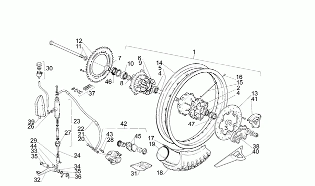 Roue arrière
