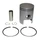 PISTON FOR SCOOT PIAGGIO 50 ZIP 2STROKE, TYPHOON, NRG, LIBERTY 2T/GILERA 50 STALKER, RUNNER/APRILIA 50 SR AIR 2012>  -P2R ECO-