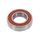 WHEEL BEARING 6005-2RS (25x47x12mm) TPI (SOLD PER UNIT)