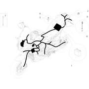 Circuit electrique arrière