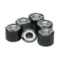 VARIATOR ROLLER FOR MAXISCOOTER MALOSSI19x17 12,0g (x6) FOR PIAGGIO 125 BEVERLY, FLY, LIBERTY, MP3, YOURBAN VESPA LX ET GTS, X10, x9, X8, X7, X-EVO