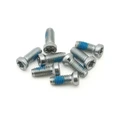 VIS DE PEDALIER SRAM DIRECT MOUNT / AXS SPIDER TORX 8x20 mm (POUR MONTAGE SPIDER OU PLATEAU DM SUR MANIVELLE)