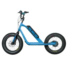 TROTTINETTE ELECTRIQUE RMS BIKE 20F-X BLEU CIEL RAL 5015 MOTEUR 500 W HOMOLOGUE NF EN 1476 (DIM 1,78x0,83x1,18 M) -MADE IN FRANCE
