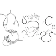 Faisceau de cables principal