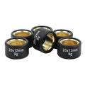 GALET/ROULEAU MAXISCOOTER MAGNETI MARELLI 20x12 9,0g (x6) POUR YAMAHA 125 XMAX, MAJESTY, CYGNUS X / MBK 125 SKYCRUISER, SKYLINER, FLAME-X