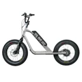TROTTINETTE ELECTRIQUE RMS BIKE 20F-X GRIS ALLUMINIUM RAL 9006 MOTEUR 500 W HOMOLOGUE NF EN 1476 (DIM 1,78x0,83x1,18 M) -MADE IN FRANCE
