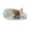FLASHER-REAR-RIGHT-CLEAR "PIAGGIO GENUINE PART" 50 TYPHOON 2004>  -638514-