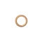 AP0430622 - BAGUE D'ETANCHEITE