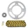KIT CHAINE ADAPTABLE BETA 50 RR ENDURO 2012>2017, RR ENDURO FACTORY 2012>2017, RR ENDURO STANDARD 2012>2014 420 13x51 (DIAM COURONNE 100/120/8.5/16) -AFAM