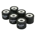VARIATOR ROLLER FOR MAXISCOOTER POLINI 20x17  9,5g  HI SPEED FOR PEUGEOT 125 SATELIS/ SUZUKI 125 BURGMAN/ APRILIA 125 LEONARDO/ KYMCO 125 PEOPLE (SET OF 6) (242.171)
