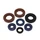 OIL SEAL (FULL SET) FOR DERBI 50 SENDA, GPR / GILERA 50 SMT, RCR (2 VITON) (PRO-SERIES) -ARTEIN