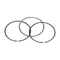 1A019531 - SCRAPER RING STANDARD
