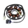 STATOR ALLUMAGE SCOOT ADAPTABLE KYMCO 50 AGILITY 4T 2005>2008, DINK 4T 2007>, PEOPLE S 2006>2008, SENTO 2008>, VITALITY 4T 2004> (8 POLES) -P2R