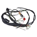 FAISCEAU DE CABLES ORIGINE DERBI 50 SENDA DRD RACING 2 E2 2005>2008/ APRILIA 50 SX,RX 2006>2010 -86107R