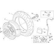 Roue Posterieure - F.D.