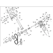 Distribution