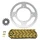 KIT CHAINE ADAPTABLE BETA 50 RR MOTARD 2012>2017, RR MOTARD STANDARD 2012>2014, RR MOTARD SPORT 2014>2017, RR SM 2012>2017 420 13x50 (DIMENSIONS 100/120/8.5/16) -AFAM