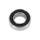 ROULEMENT BLACKBEARING B5 8x16-5mm (688 2rs)