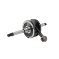 EMBIELLAGE/VILEBREQUIN CYCLO ADAPTABLE PEUGEOT FOX (VENDU A L'UNITE) -SELECTION P2R