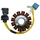 IGNITION STATOR FOR MAXISCOOTER PIAGGIO 125 X7, X8, X9, LIBERTY, LX, ET4, VESPA GTS/PEUGEOT 125 LOOXOR/APRILIA 125 ATLANTIC/GILERA 125 NEXUS (12 POLES - 150W) -SELECTION P2R