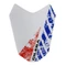 DECAL- FRONT MUDGUARD "PIAGGIO GENUINE PART" 50 GILERA SMT/RCR LIMITED 2017> -2H001864