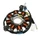 IGNITION STATOR FOR MAXISCOOTER KYMCO 125 AGILITY 4T 2008>2013 (8 POLES) (00131053)  TOP PERFORMANCES.