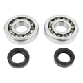 BEARING FOR CRANKSHAFT+SEALS FOR SCOOT P2R FOR PIAGGIO 50 ZIP 2STROKE, TYPHOON, NRG/GILERA 50 STALKER, RUNNER (KIT SC04A47CS TPI POLYAMID CASE/NITRILE SEALS)
