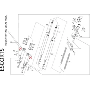 Fourche Escorts