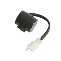 CENTRALE CLIGNOTANTE SCOOT ADAPTABLE SCOOT 50 CHINOIS GY6, 139 QMB (3 BROCHES) -P2R