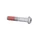 VIS TORX (10x55) TETE BOMBEE ORIGINE PIAGGIO COMMUN A LA GAMME -2B007275