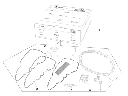 Wear and maintenance kit