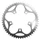 CHANRING FOR ROAD BIKE-5 arms- 51T. Ø110 -OUTER- DURAL SILVER STRONGLIGHT (SHIMANO TYPE 8/9 Speed)