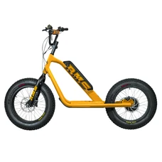 ELECTRIC SCOOTER - RMS BIKE 20F-X YELLOW RAL 1021 -ENGINE 500 W NF APPROVED - EN 1476 (OVERALL DIMENSIONS 1,78x0,83x1,18 M) -MADE IN FRANCE