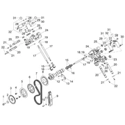 Distribution